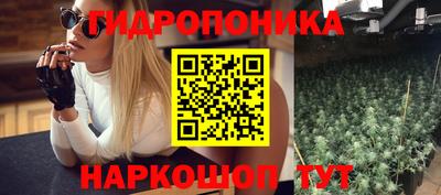 индика Свободный