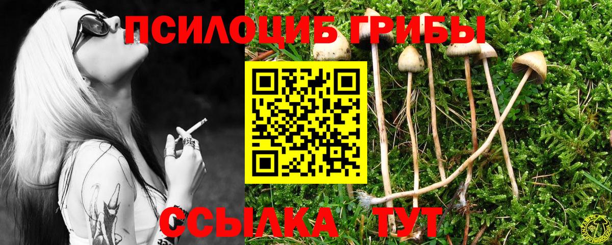 Галлюциногенные грибы ЛСД Алейск